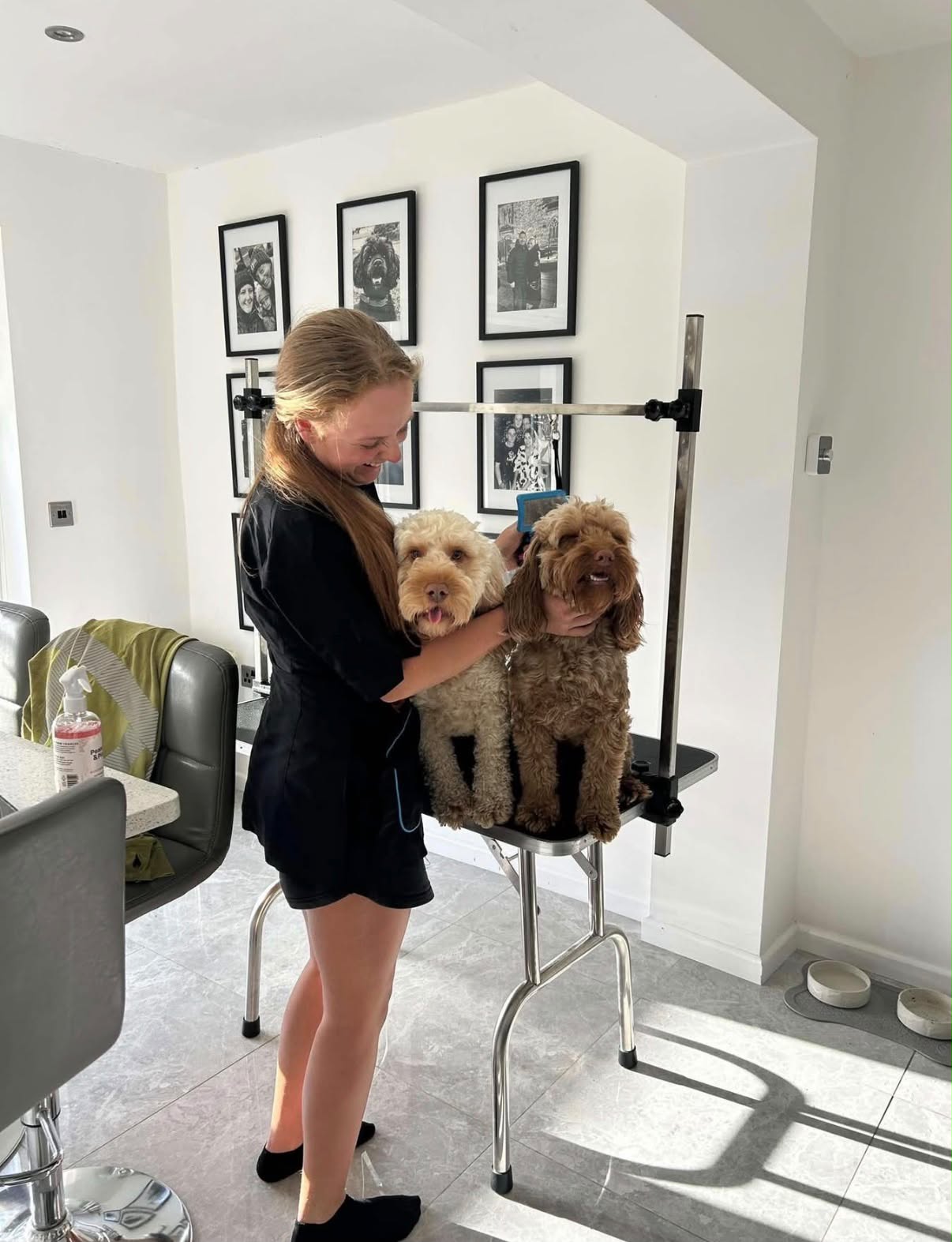 Georgia grooming two dogs on the table